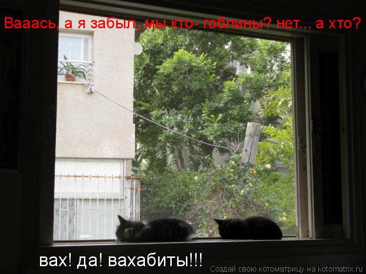 Вааась, а я забыл, мы кто- гоблины? нет... а хто? вах! да! вахабиты!!!... Котоматрица: Вааась, а я забыл, мы кто- гоблины? нет... а хто? вах! да! вахабиты!!!