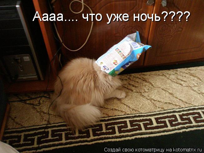 Аааа.... что уже ночь????... Котоматрица: Аааа.... что уже ночь????