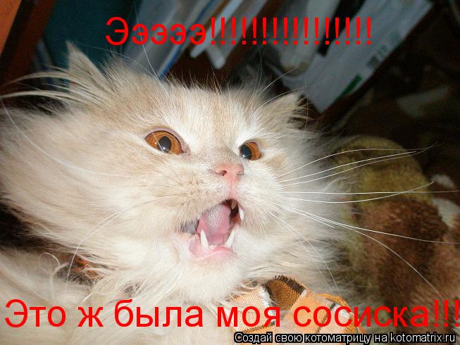 Котоматрица: Эээээ!!!!!!!!!!!!!!!! Это ж была моя сосиска!!!