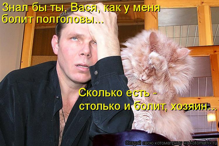 Знал бы ты, Вася, как у меня болит полголовы... Сколько есть - столько и болит, хозяин...... Котоматрица: Знал бы ты, Вася, как у меня болит полголовы... Сколько есть - столько и болит, хозяин...