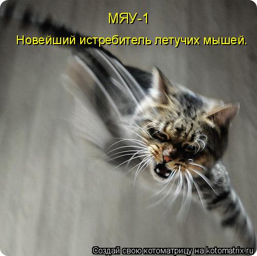 Котоматрица: МЯУ-1   Новейший истребитель летучих мышей.