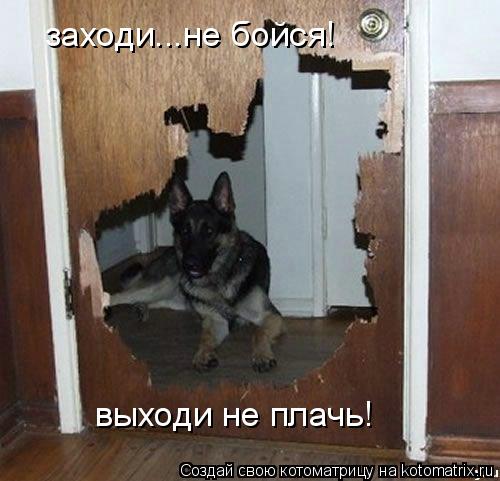 Котоматрица: заходи...не бойся! выходи не плачь!