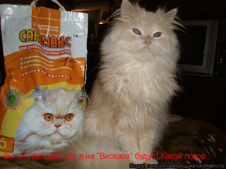 Котоматрица: Вы же говорили что я на "Вискасе" буду!!! Какой позор...