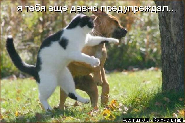 Котоматрица: я тебя еще давно предупреждал...