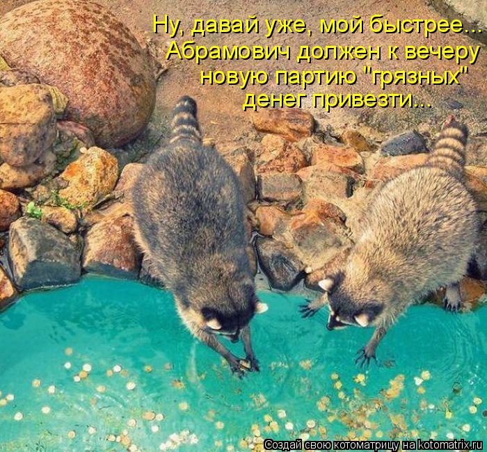 Котоматрица: Ну, давай уже, мой быстрее... Абрамович должен к вечеру новую партию "грязных"  денег привезти...