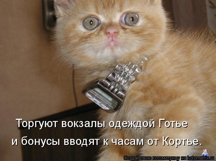 Котоматрица: Торгуют вокзалы одеждой Готье и бонусы вводят к часам от Кортье.
