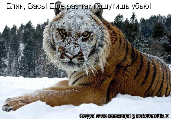 Котоматрица: Блин, Вась! Ещё раз так пошутишь убью!