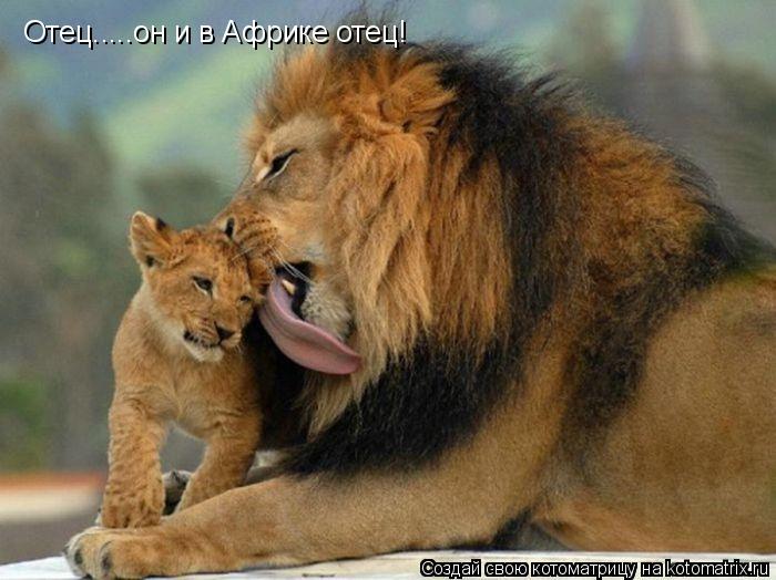 Отец.....он и в Африке отец!... Котоматрица: Отец.....он и в Африке отец!