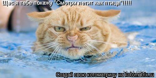 Котоматрица: Щас я тебе покажу "Смотри летит как птица"!!!!!