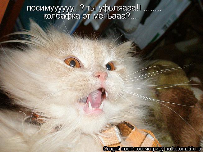 Котоматрица: посимуууууу...? ты уфьляааа!!......... колбафка от меньааа?....