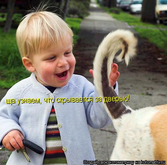 ща узнаем, что скрывается за дверью! ща узнаем, что скрывается за дверью!... Котоматрица: ща узнаем, что скрывается за дверью! ща узнаем, что скрывается за дверью!
