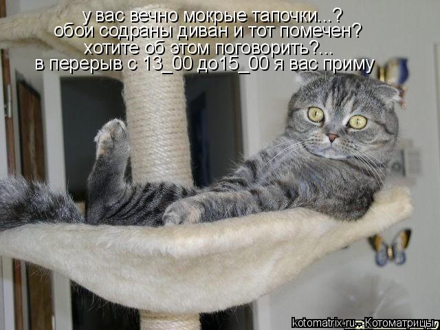 Котоматрица: у вас вечно мокрые тапочки...? обои содраны диван и тот помечен? хотите об этом поговорить?...  в перерыв с 13_00 до15_00 я вас приму