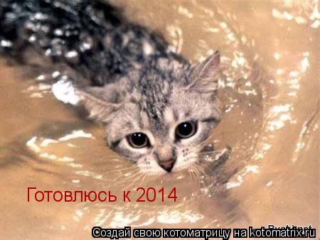 Готовлюсь к 2014... Котоматрица: Готовлюсь к 2014