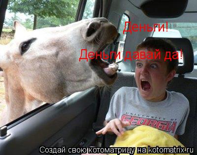 Деньги! Деньги давай да!... Котоматрица: Деньги! Деньги давай да!