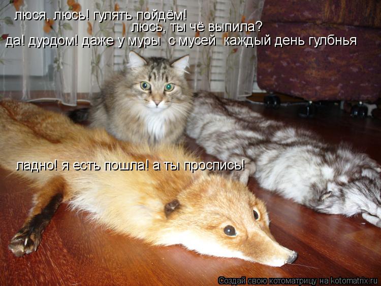 Котоматрица: люся, люсь! гулять пойдём! люсь, ты чё выпила? да! дурдом! даже у муры  с мусей  каждый день гулбнья ладно! я есть пошла! а ты проспись!