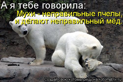 Котоматрица: А я тебе говорила: Мухи - неправильные пчелы, и делают неправильный мёд. } !