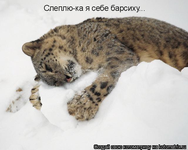 Котоматрица: Слеплю-ка я себе барсиху...