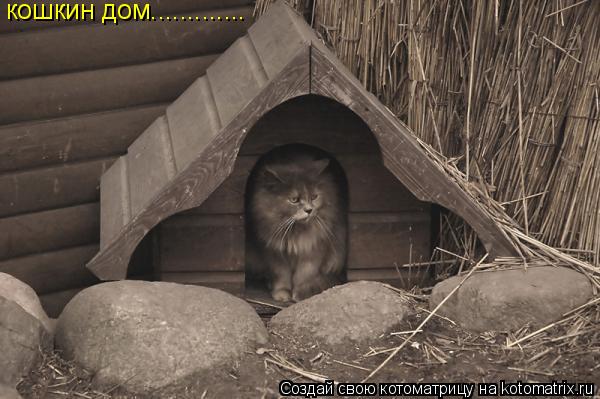 Котоматрица: кошкин дом.............