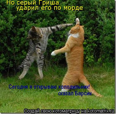 Котоматрица: Сегодня я открываю холодильник! сказал Барсик Но серый Гриша ударил его по морде