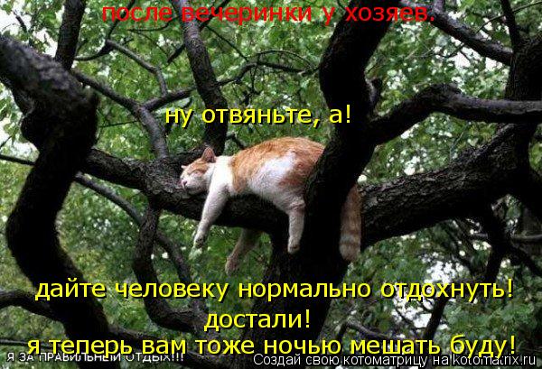 Котоматрица: ну отвяньте, а! дайте человеку нормально отдохнуть! достали! я теперь вам тоже ночью мешать буду! после вечеринки у хозяев.