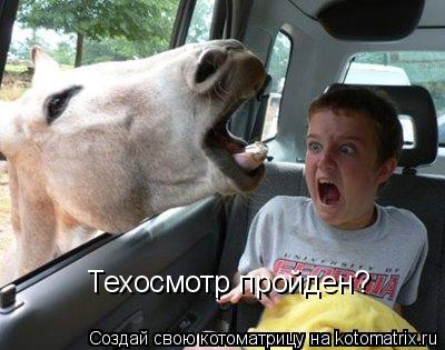 Котоматрица: Техосмотр пройден?