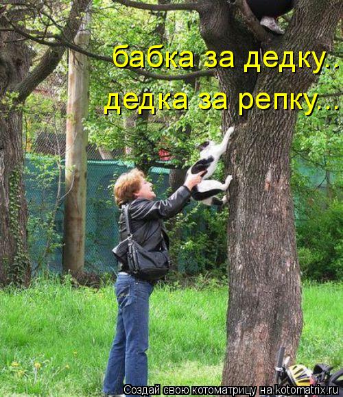 Котоматрица: бабка за дедку... дедка за репку...
