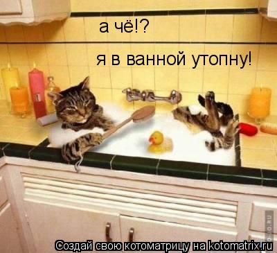 Котоматрица: а чё!? я в ванной утопну!