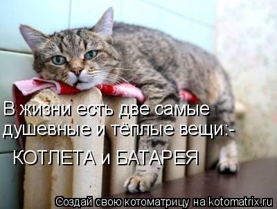 Котоматрица: В жизни есть две самые  душевные и тёплые вещи:- КОТЛЕТА и БАТАРЕЯ