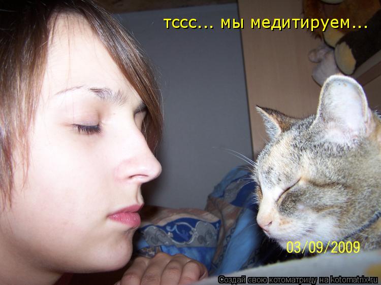 Котоматрица: тссс... мы медитируем...