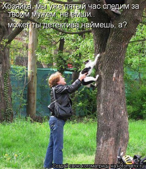 Котоматрица: Хозяйка, мы уже пятый час следим за  твоим мужем, не емши..  может ты детектива наймешь, а?