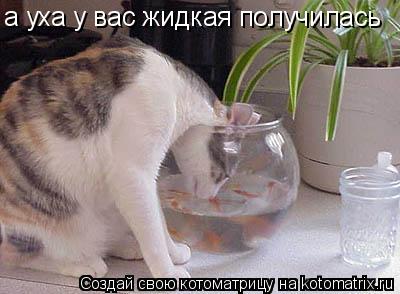 Котоматрица: а уха у вас жидкая получилась