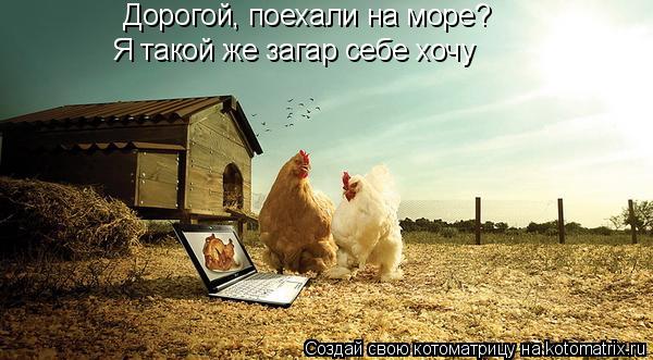 Дорогой, поехали на море? Я такой же загар себе хочу... Котоматрица: Дорогой, поехали на море? Я такой же загар себе хочу