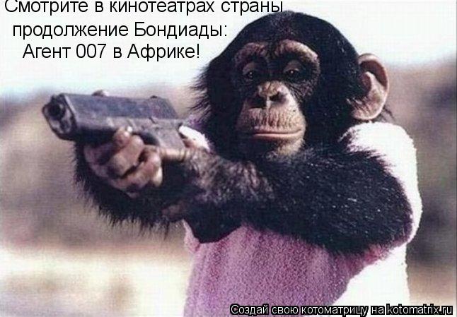 Смотрите в кинотеатрах страны продолжение Бондиады: Агент 007 в Африке!... Котоматрица: Смотрите в кинотеатрах страны продолжение Бондиады: Агент 007 в Африке!