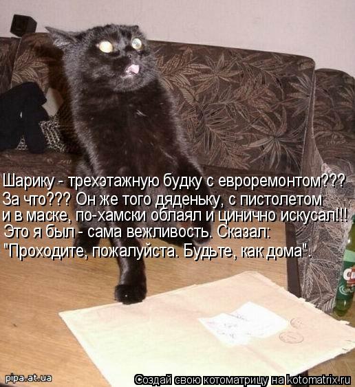 Котоматрица: Шарику - трехэтажную будку с евроремонтом??? За что??? Он же того дяденьку, с пистолетом и в маске, по-хамски облаял и цинично искусал!!! Это я бы
