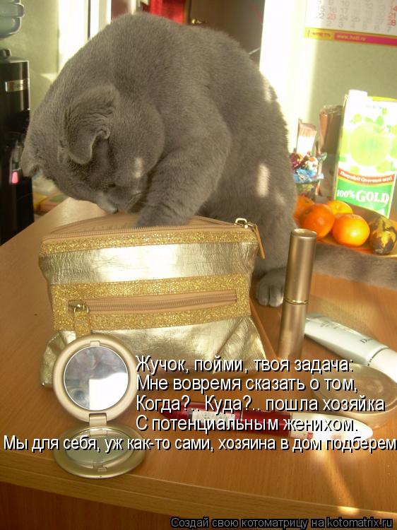 Жучок, пойми, твоя задача: Мне вовремя сказать о том, Когда?.. Куда?.. пошла хозяйка С потенциальным ... Котоматрица: Жучок, пойми, твоя задача: Мне вовремя сказать о том, Когда?.. Куда?.. пошла хозяйка С потенциальным женихом. Мы для себя, уж как-то сами, хозяин
