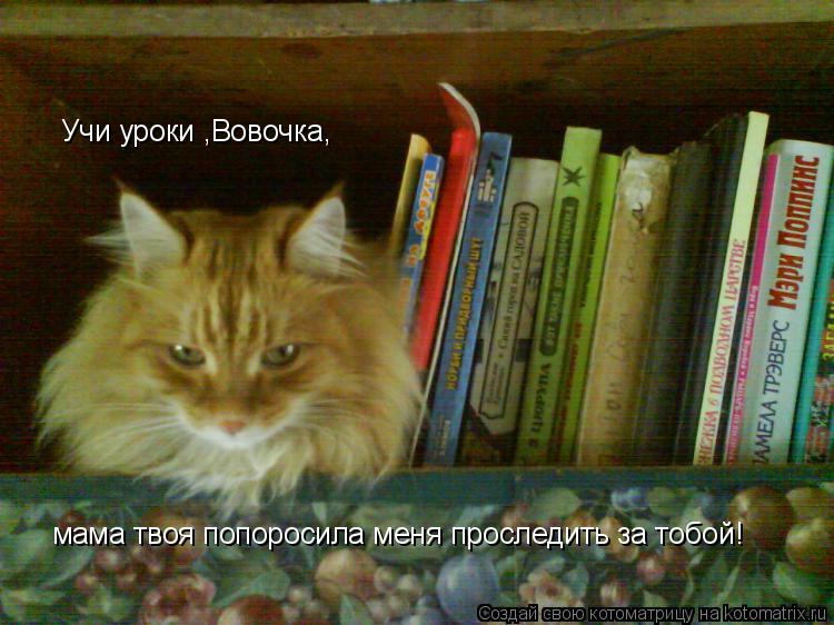Учи уроки ,Вовочка, мама твоя попоросила меня проследить за тобой!... Котоматрица: Учи уроки ,Вовочка, мама твоя попоросила меня проследить за тобой!
