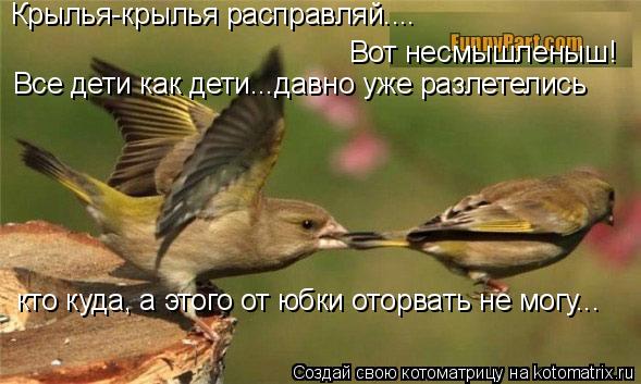 Котоматрица: Крылья-крылья расправляй....  Вот несмышленыш!  Все дети как дети…..давно уже разлетелись   кто куда, а этого от юбки оторвать не могу...