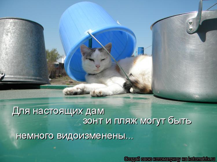 Для настоящих дам зонт и пляж могут быть немного видоизменены...... Котоматрица: Для настоящих дам зонт и пляж могут быть немного видоизменены...