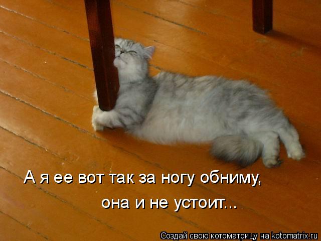 Котоматрица: А я ее вот так за ногу обниму,  она и не устоит...