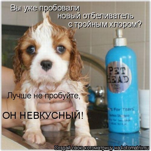 Вы уже пробовали новый отбеливатель с тройным хлором? Лучше не пробуйте, ОН НЕВКУСНЫЙ!... Котоматрица: Вы уже пробовали новый отбеливатель с тройным хлором? Лучше не пробуйте, ОН НЕВКУСНЫЙ!
