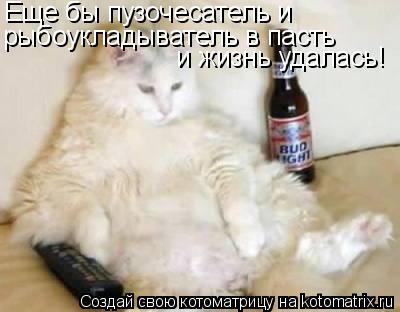 Еще бы пузочесатель и рыбоукладыватель в пасть и жизнь удалась!... Котоматрица: Еще бы пузочесатель и рыбоукладыватель в пасть и жизнь удалась!