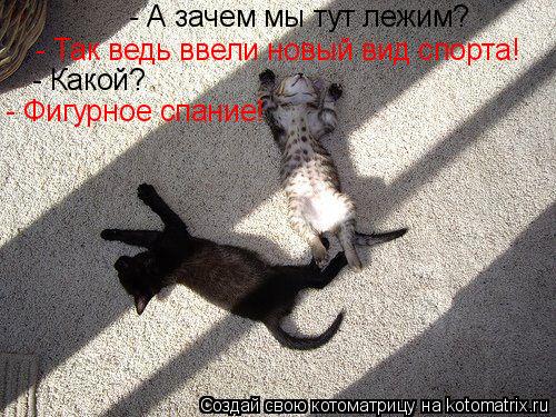 - А зачем мы тут лежим? - Так ведь ввели новый вид спорта! - Какой? - Фигурное спание!... Котоматрица: - А зачем мы тут лежим? - Так ведь ввели новый вид спорта! - Какой? - Фигурное спание!