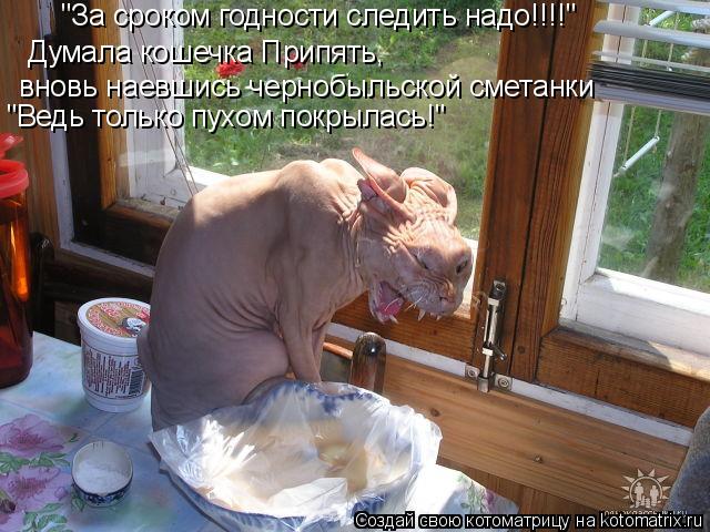 "За сроком годности следить надо!!!!" Думала кошечка Припять, вновь наевшись чернобыльской сметанки ... Котоматрица: "За сроком годности следить надо!!!!" Думала кошечка Припять, вновь наевшись чернобыльской сметанки "Ведь только пухом покрылась!"