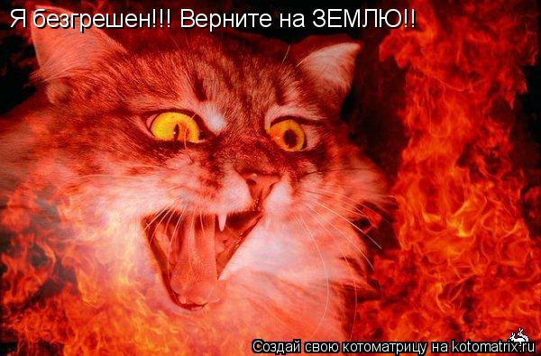 Я безгрешен!!! Верните на ЗЕМЛЮ!!... Котоматрица: Я безгрешен!!! Верните на ЗЕМЛЮ!!