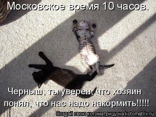 Котоматрица: Московское время 10 часов. Черныш, ты уверен, что хозяин понял, что нас надо накормить!!!!!