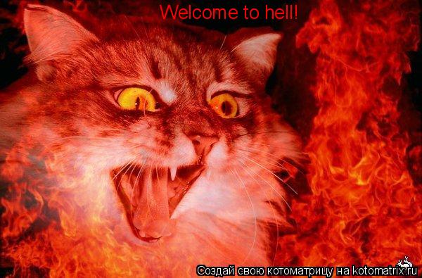 Welcome to hell!... Котоматрица: Welcome to hell!