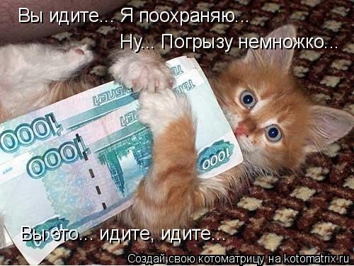 Вы идите... Я поохраняю... Ну... Погрызу немножко... Вы это... идите, идите...... Котоматрица: Вы идите... Я поохраняю... Ну... Погрызу немножко... Вы это... идите, идите...