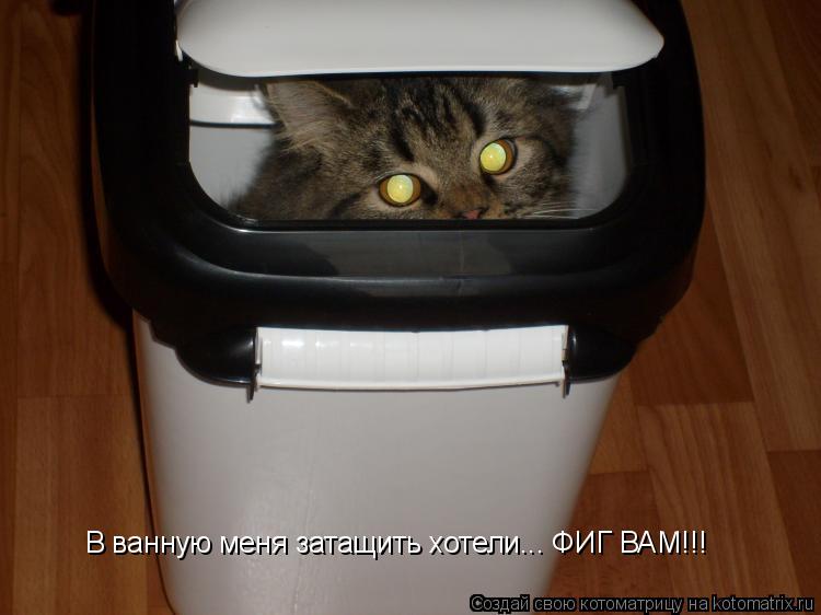 В ванную меня затащить хотели... ФИГ ВАМ!!!... Котоматрица: В ванную меня затащить хотели... ФИГ ВАМ!!!