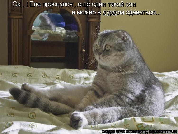 Котоматрица: Ох...! Еле проснулся...ещё один такой сон и можно в дурдом сдаваться...
