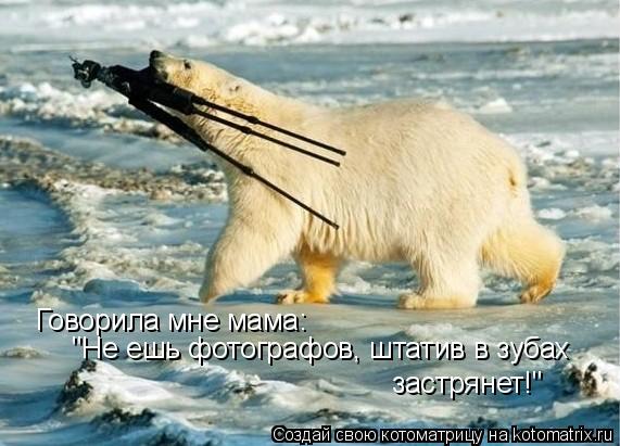 Говорила мне мама: Говорила мне мама: Говорила мне мама: "Не ешь фотографов, штатив в зубах застрянет... Котоматрица: Говорила мне мама: Говорила мне мама: Говорила мне мама: "Не ешь фотографов, штатив в зубах застрянет!" "Не ешь фотографов, штатив в зубах зас